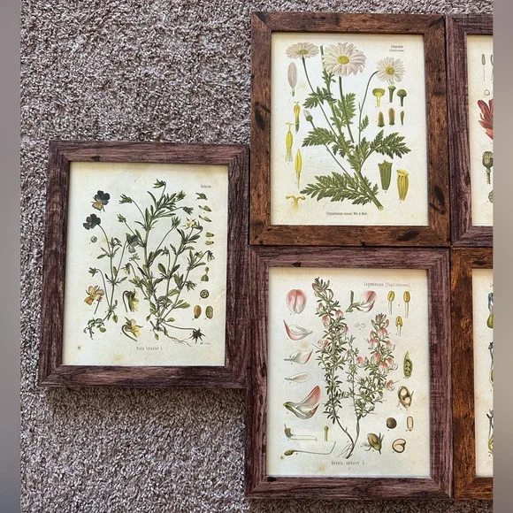 Framed Floral Print Set - Picture 2 of 5